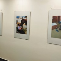 Výstava fotografií v Lišově