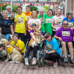 Sociální služby Česká