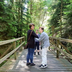 Sociální služby Česká